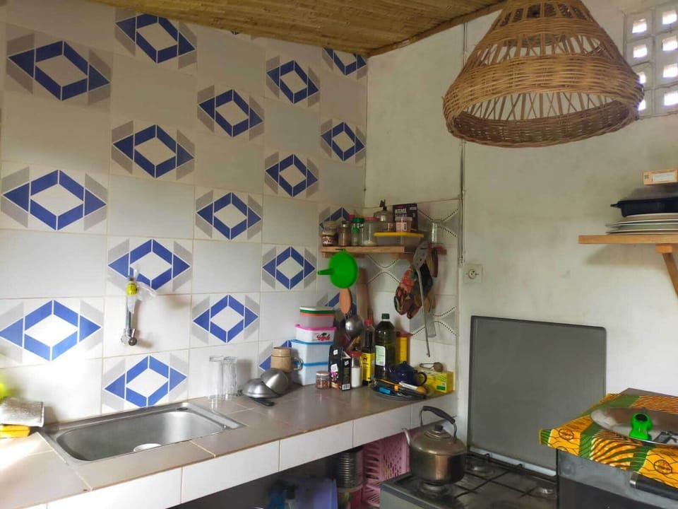 Fridge, oven, blender, cookware/dishes/utensils