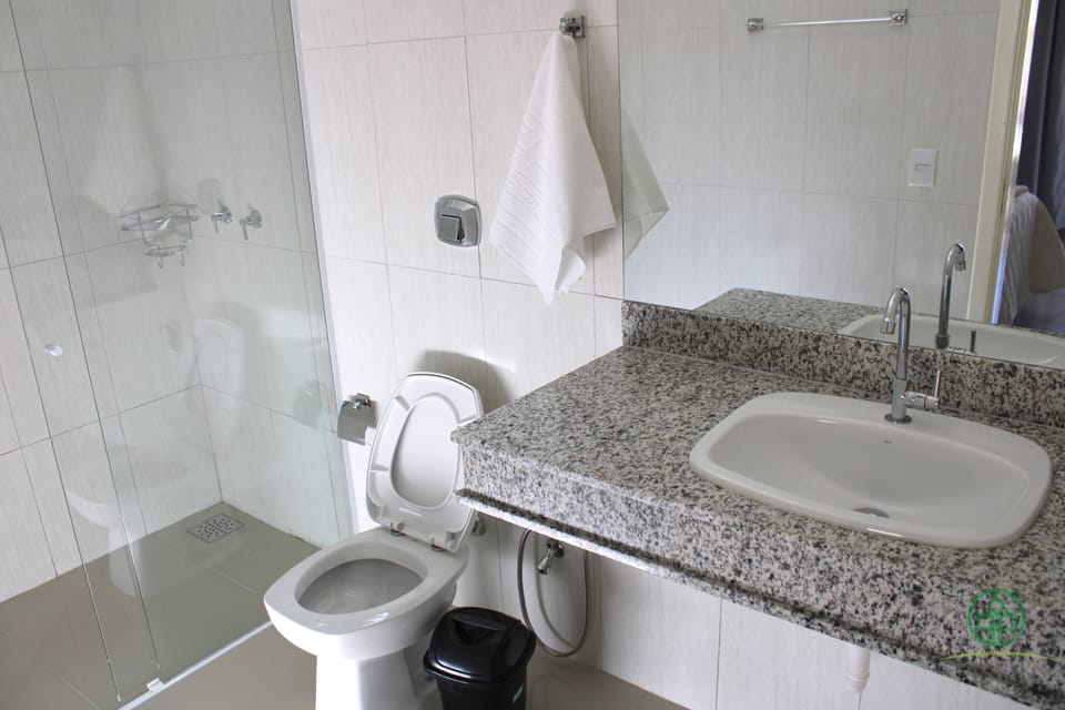 Shower, bidet, towels, soap