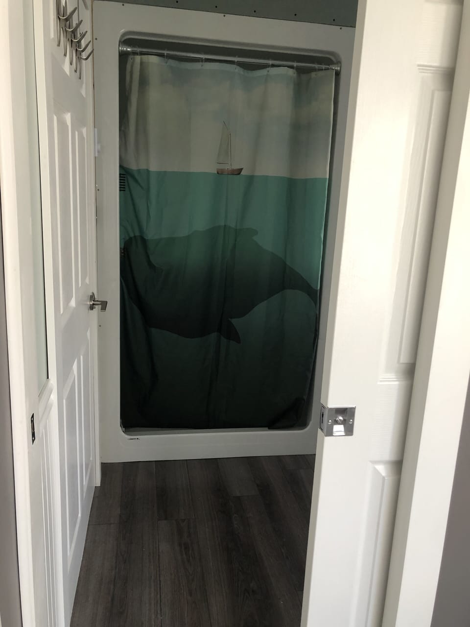 Whale shower curtain!  Private pocket door to bedroom.