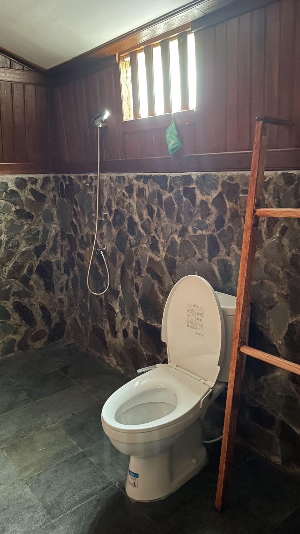 Shower, free toiletries, bidet, towels