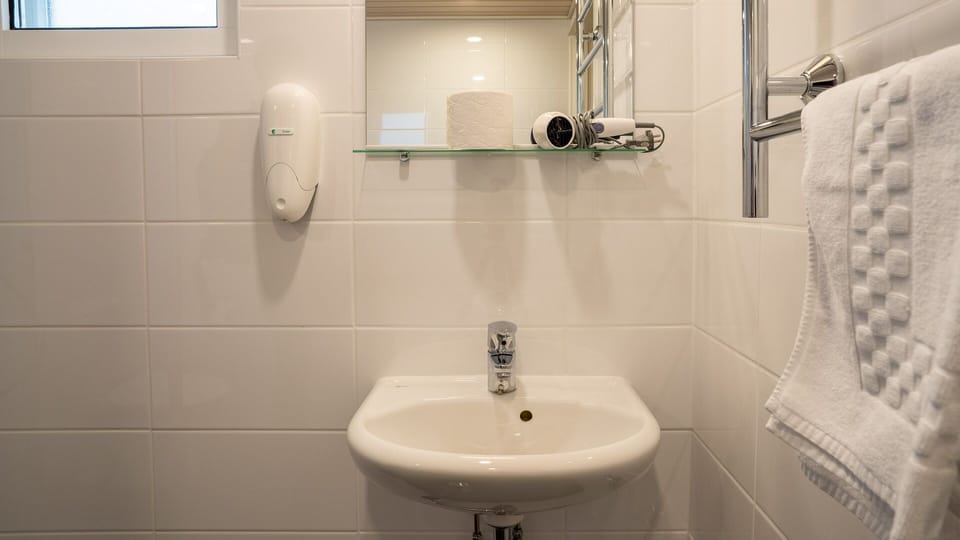 Shower, hair dryer, bidet, towels