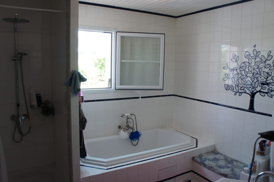 Separate tub and shower, hair dryer, towels, toilet paper