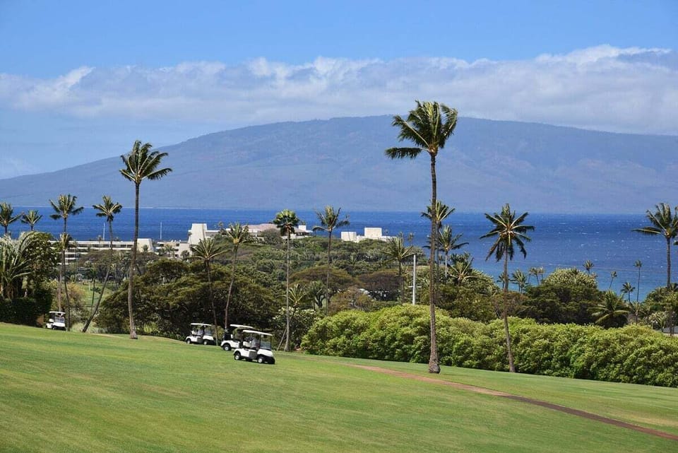 Perfect setting for golf enthusiasts—lush course framed by tropical foliage and ocean blues