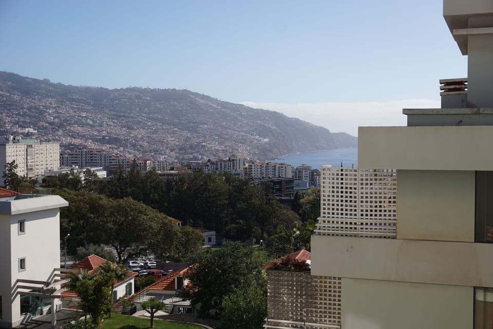 View from the living room