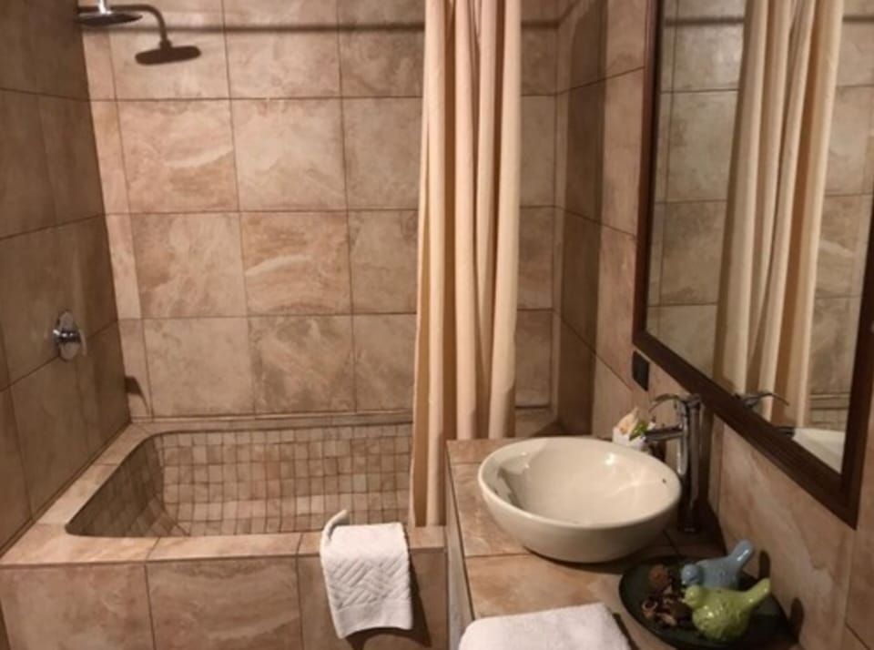 Standard Double Room | Bathroom | Combined shower/tub, rainfall showerhead, towels, soap