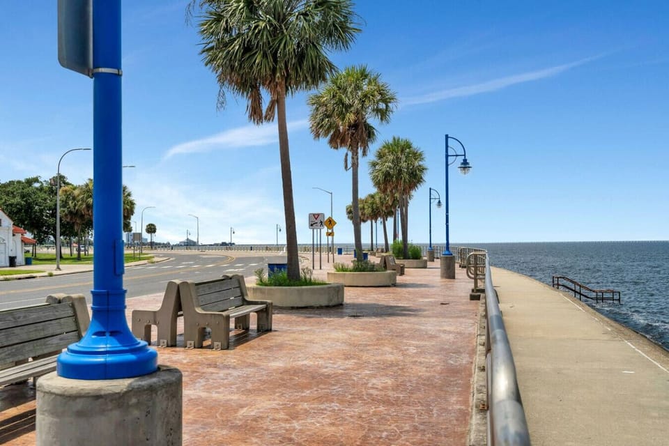 Scenes from different locales in the Big Easy!