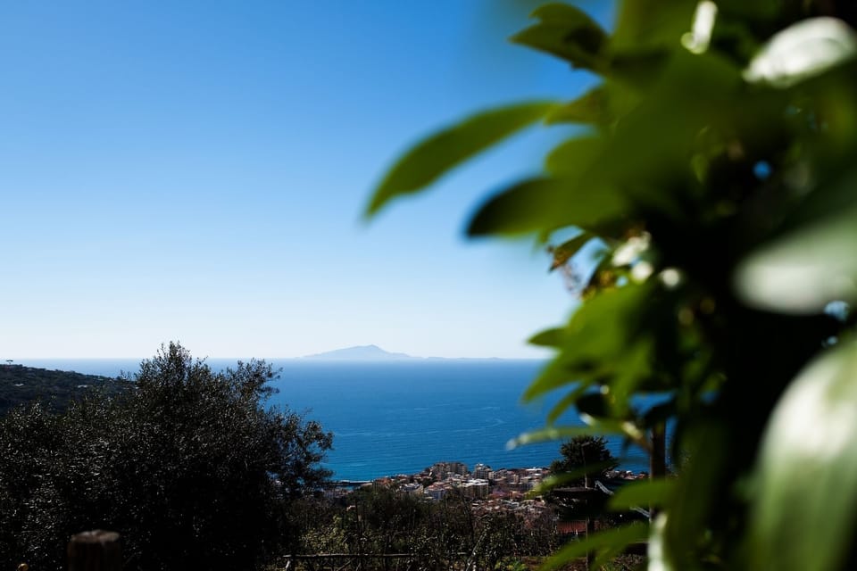 Apartment, 2 Bedrooms, Patio, Sea View | Beach/ocean view