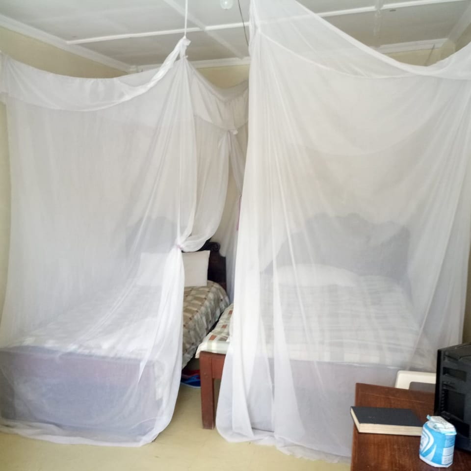 Double or Twin Room | Desk, iron/ironing board, free WiFi, bed sheets