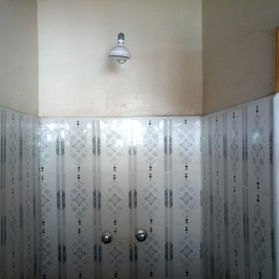 Single Room | Bathroom shower
