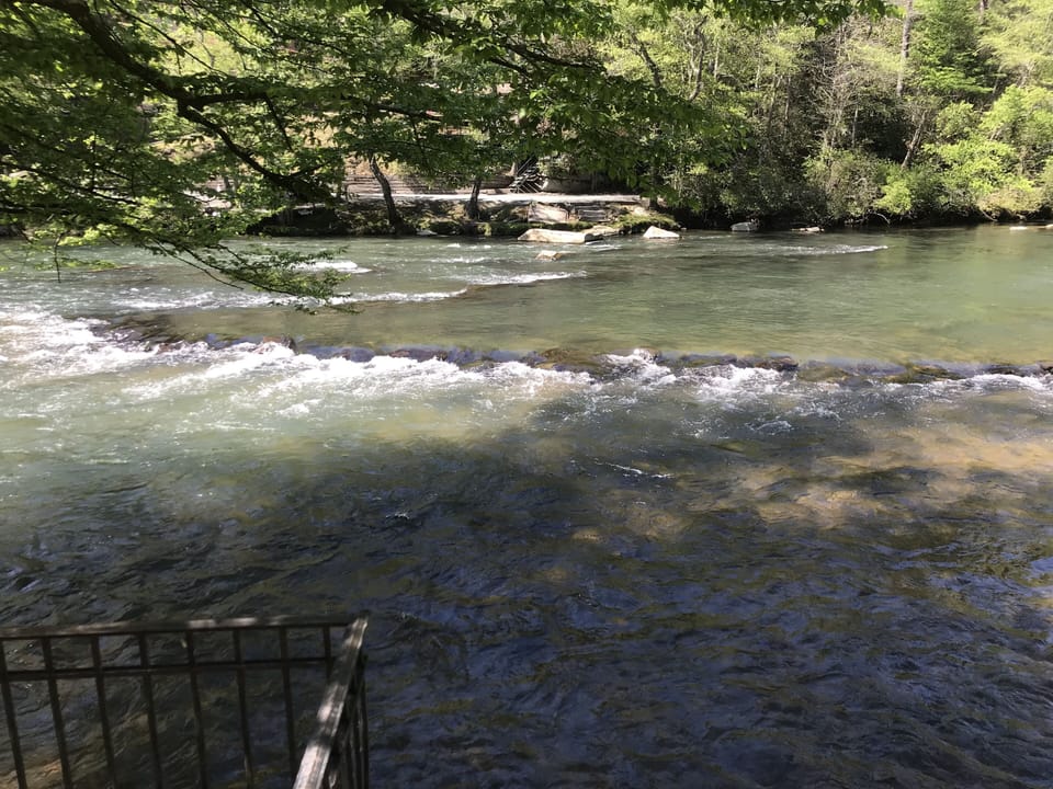 Fish trap