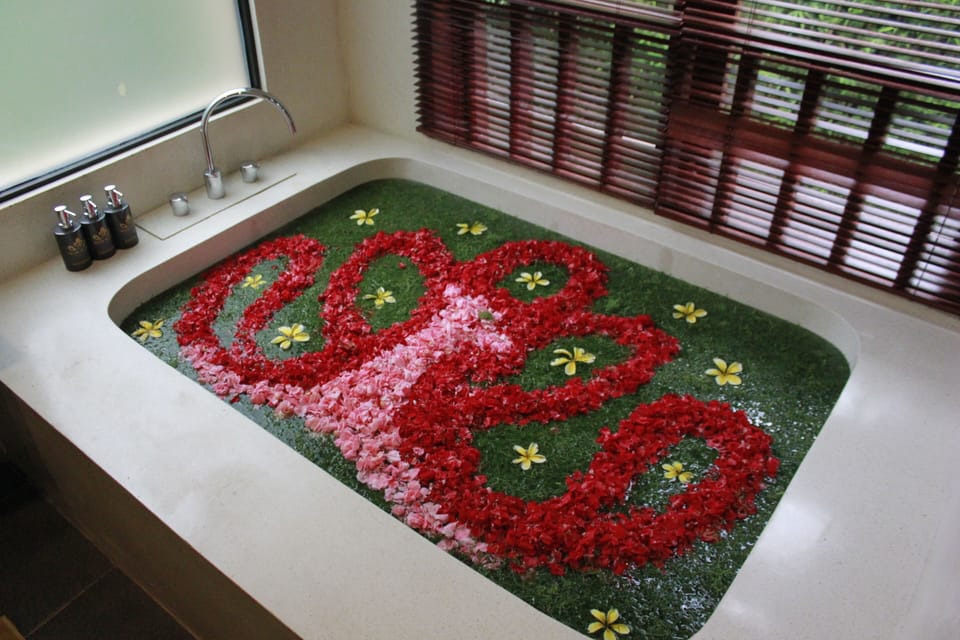 Private spa tub