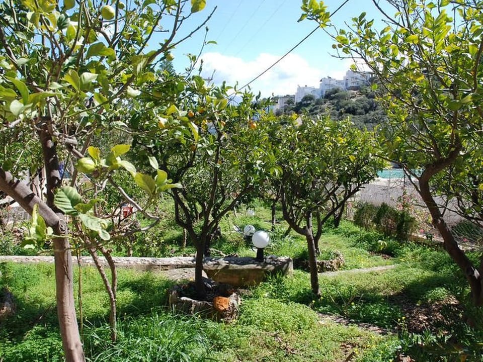 Villa, 1 Bedroom, Smoking, Balcony | Garden