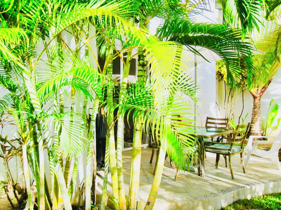 Room, 1 Bedroom, Patio | Exterior