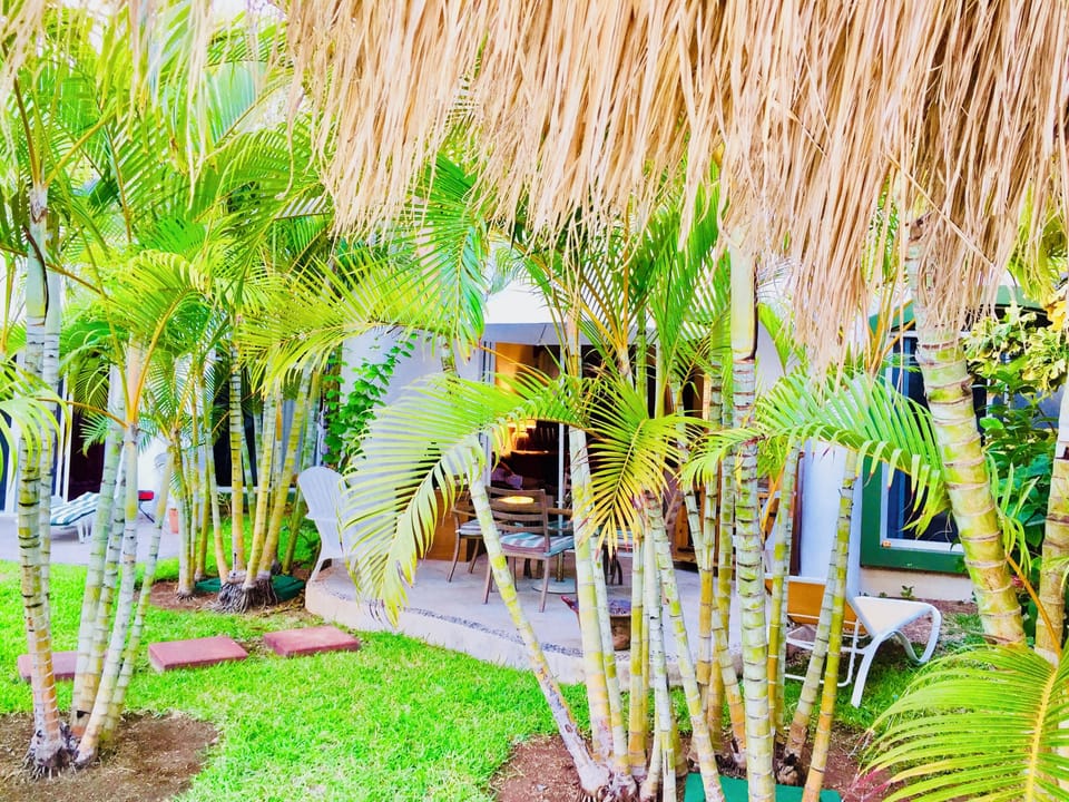 Room, 1 Bedroom, Balcony, Garden View | Garden
