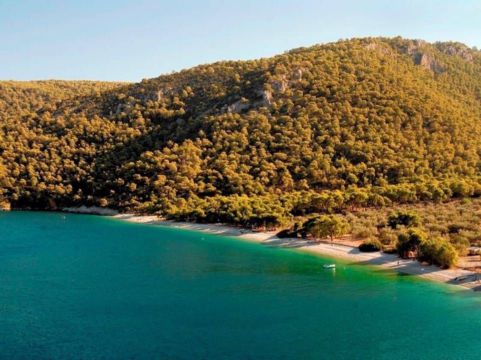 Welcome to Villa Soligia! Beach Front Villa Large Private Pool Amazing Sea View Villa in Peloponnese Region