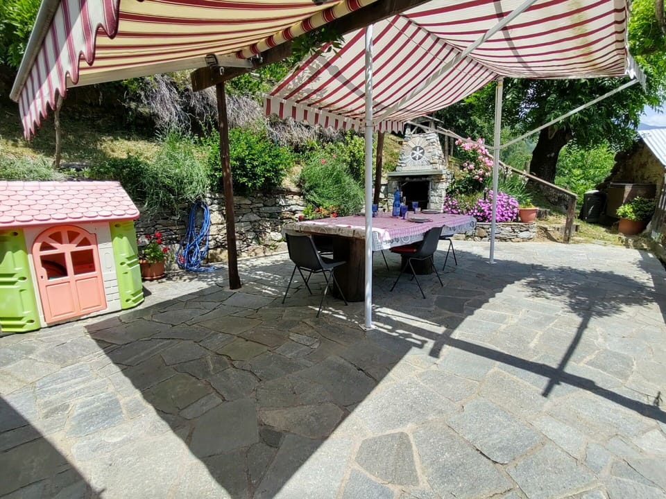 Plant, Building, Table, Flowerpot, Shade, Houseplant, Outdoor Table, Outdoor Furniture, House, Tree