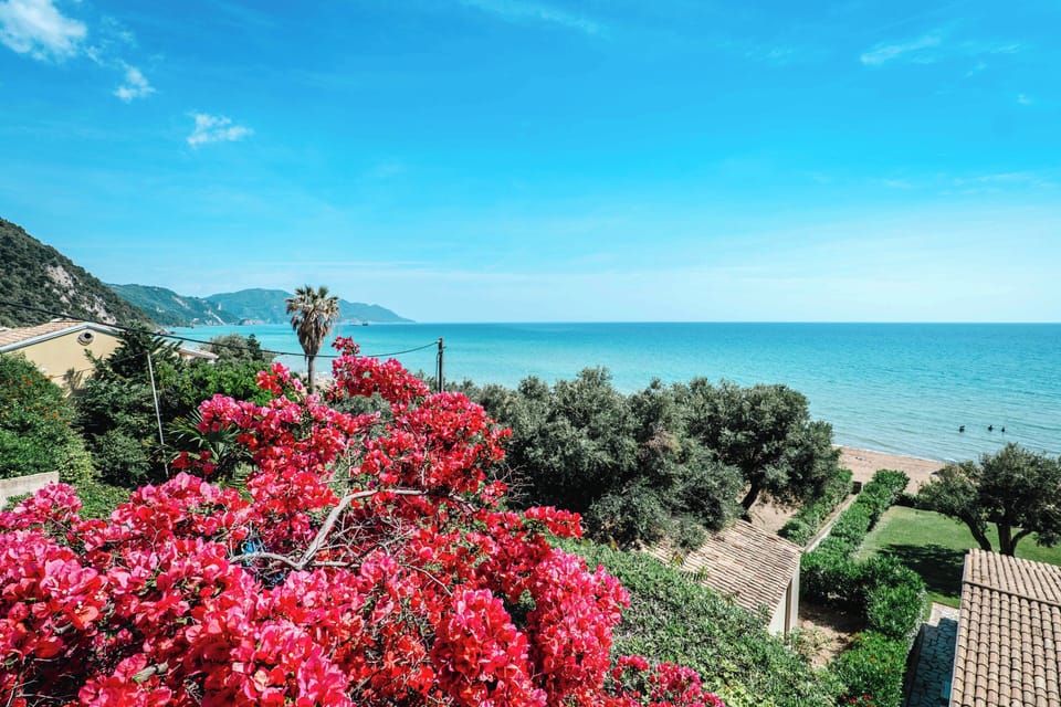 Apartment, 1 Bedroom, Balcony, Mountain View | Miscellaneous