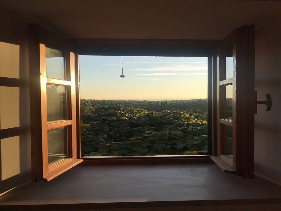 House (Two Bedroom Apartment with Terrace) | View from room