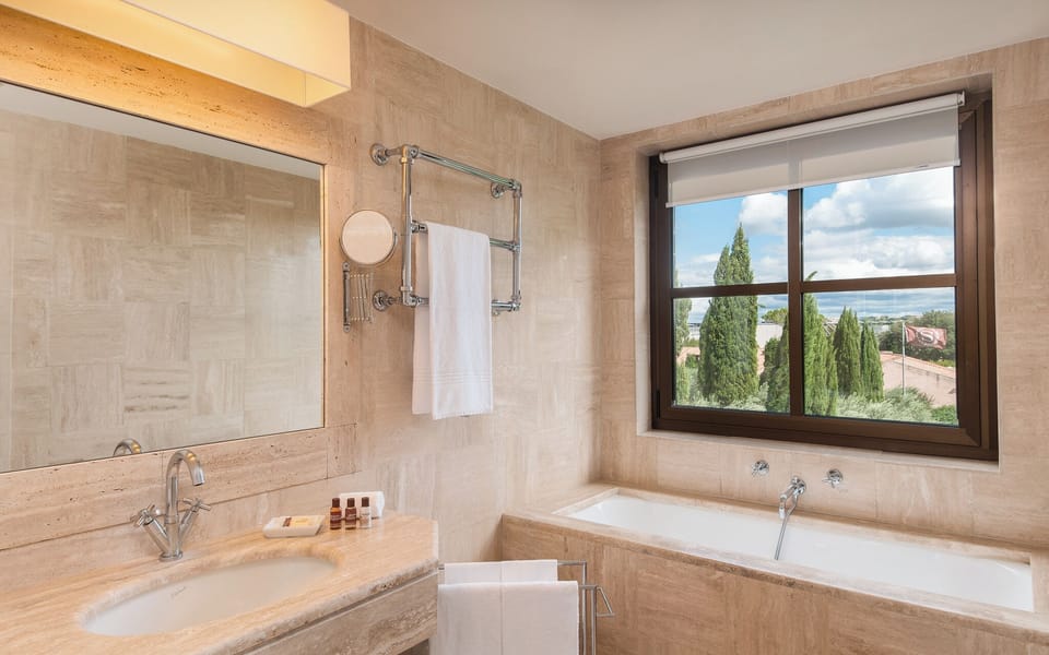 Combined shower/tub, hair dryer, bidet, towels