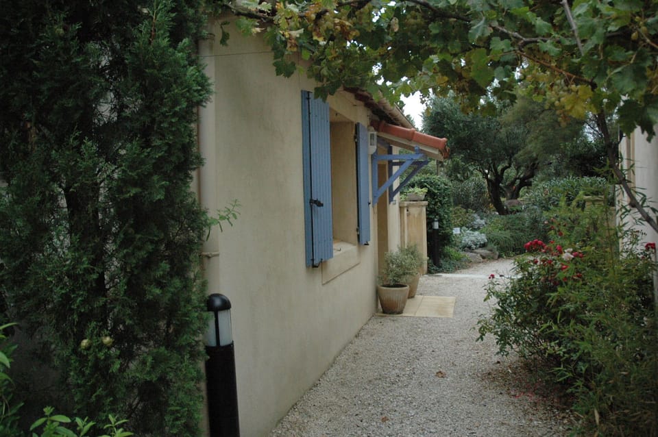 Walkway under grapes to entrance
