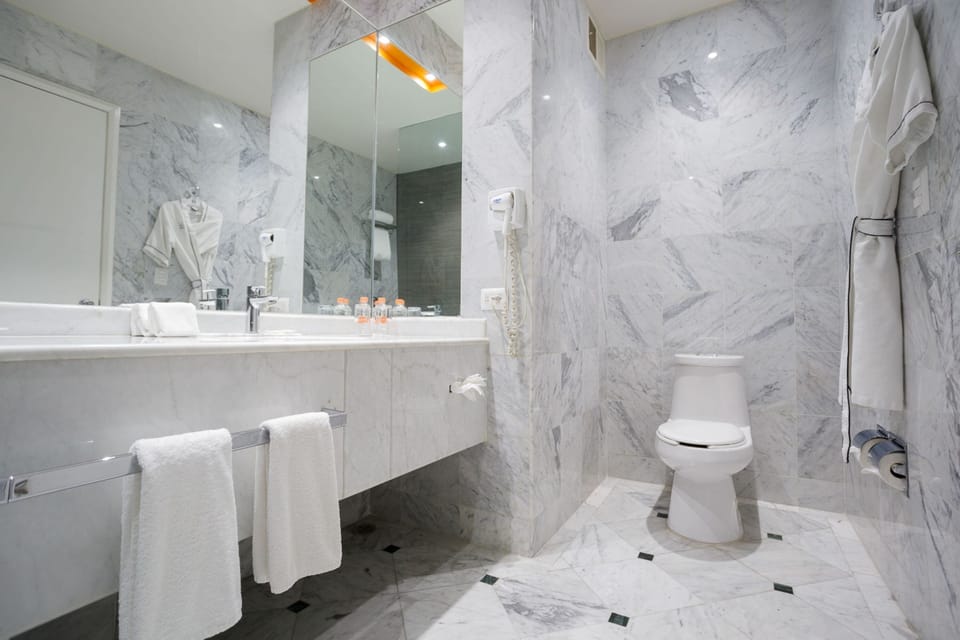 Shower, rainfall showerhead, free toiletries, hair dryer