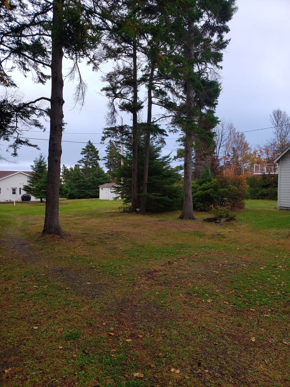 Driveway to the property