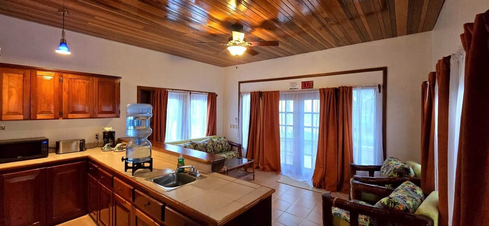 Premium Suite | Living area