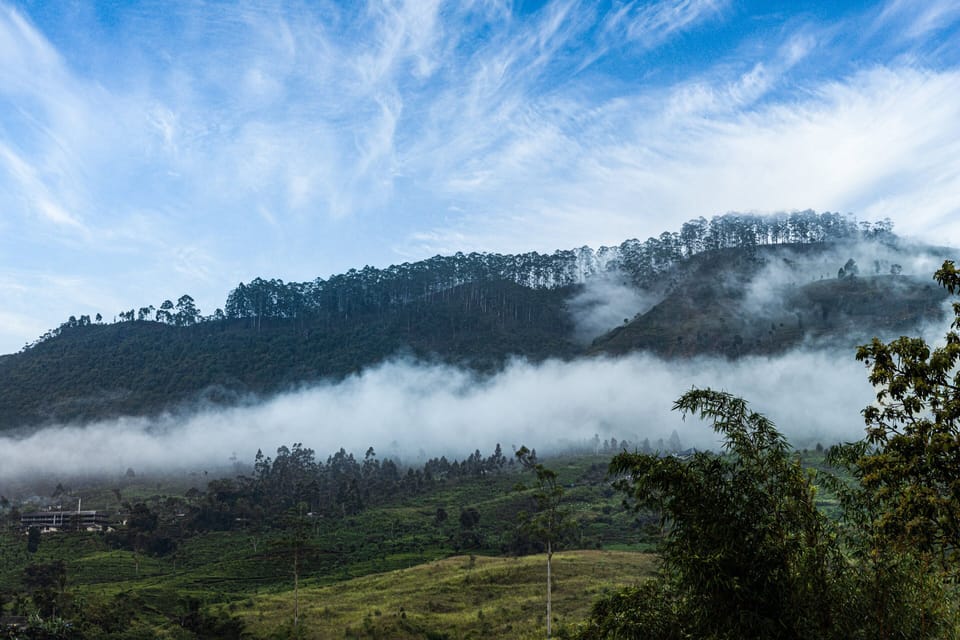 Mountain view