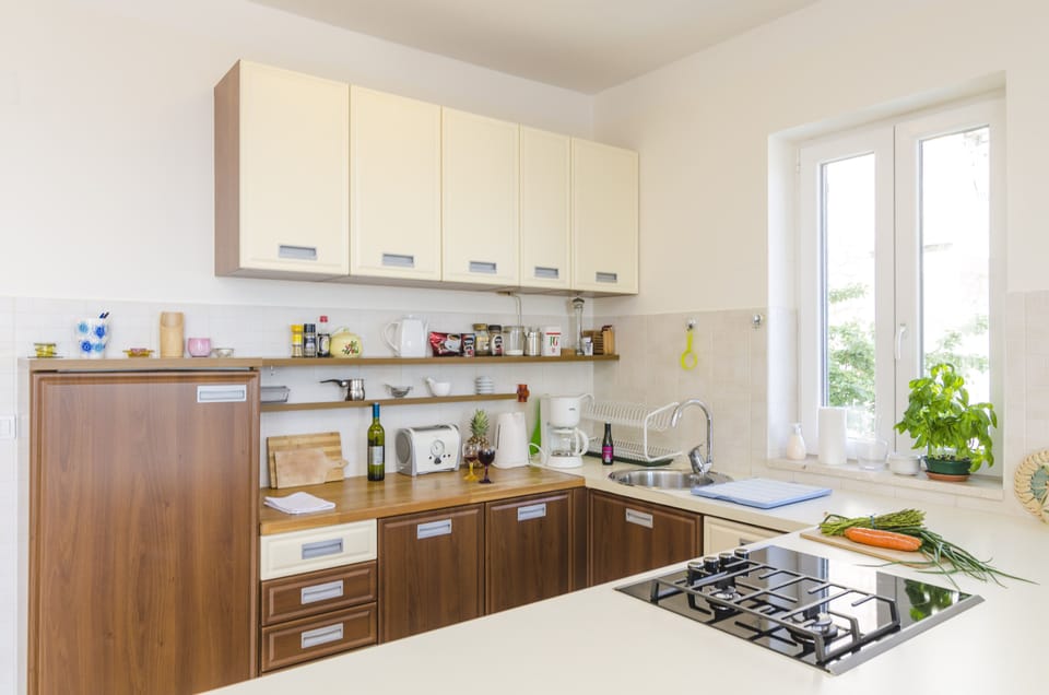 Apartment (Two-Bedroom Apartment with Terrace) | Private kitchen | Fridge, coffee/tea maker, electric kettle, freezer