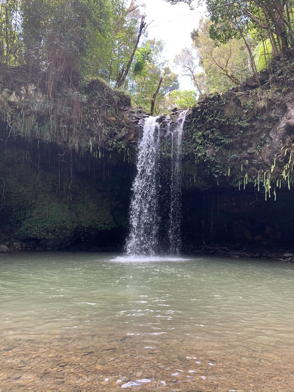 Twin Falls