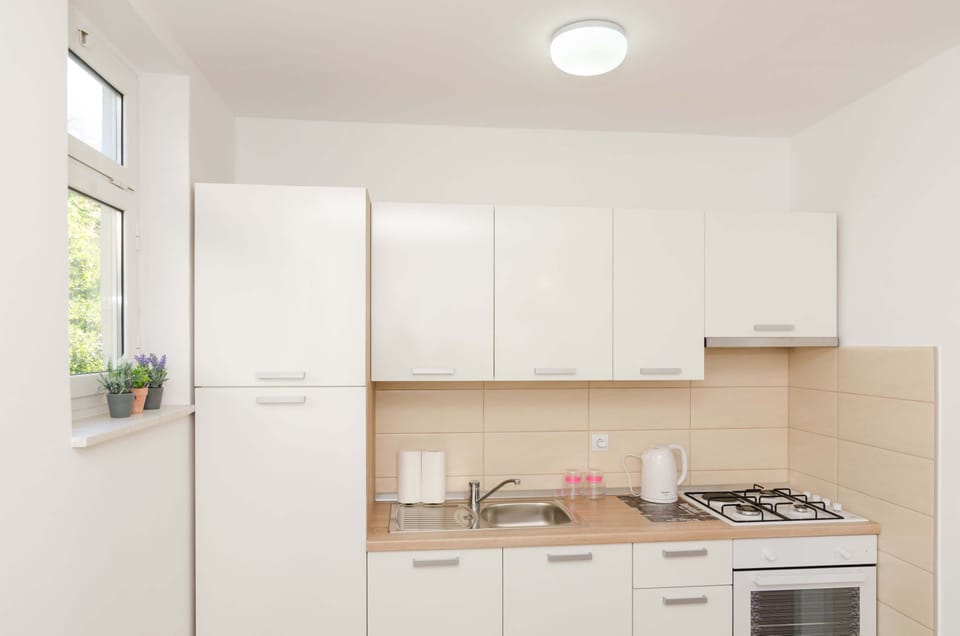 Standard Apartment, 2 Bedrooms, Balcony | Private kitchen | Full-size fridge, oven, stovetop, electric kettle