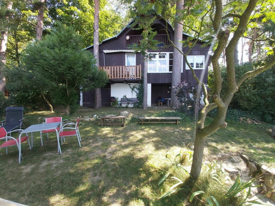 Plant, Building, Tree, Window, Land Lot, House, Shade, Grass, Neighbourhood, Landscape