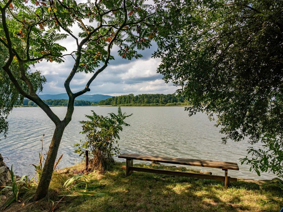 Water, Cloud, Sky, Plant, Outdoor Bench, Tree, Natural Landscape, Outdoor Furniture, Branch, Lake