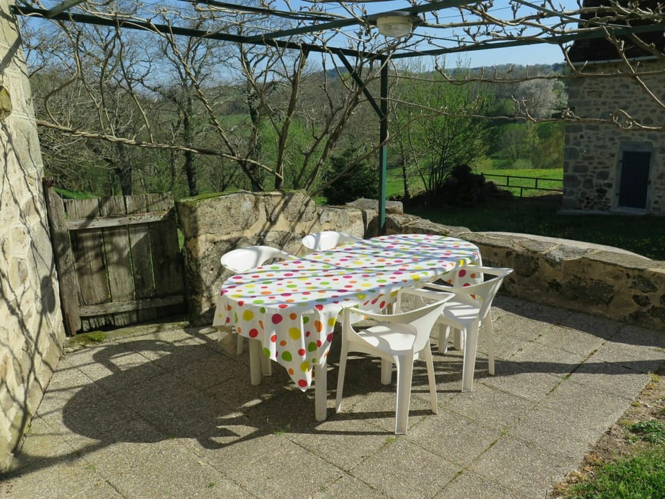 Table, Plant, Furniture, Sky, Botany, Nature, Chair, Outdoor Table, Outdoor Furniture, Tablecloth