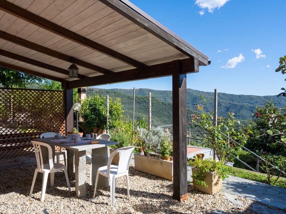 Plant, Cloud, Property, Furniture, Sky, Table, Shade, Chair, Flowerpot, Outdoor Furniture