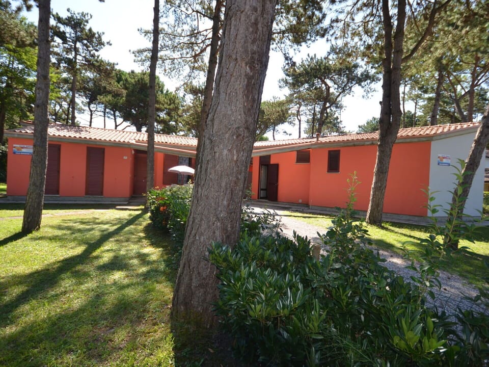 Plant, Sky, Window, Tree, Land Lot, Building, Shade, Woody Plant, Residential Area, Landscape