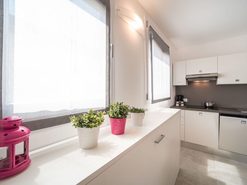 Plant, Property, Cabinetry, Flowerpot, Houseplant, Building, Countertop, Wood, Interior Design, Flooring