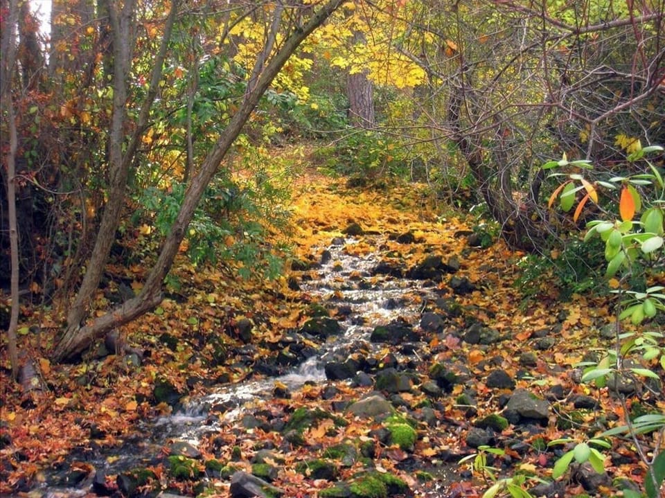 John A. Finch Arboretum (0.3 miles)
