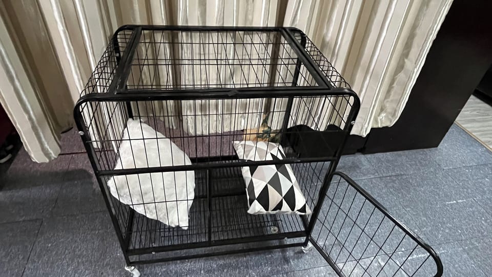 Pet-friendly amenities