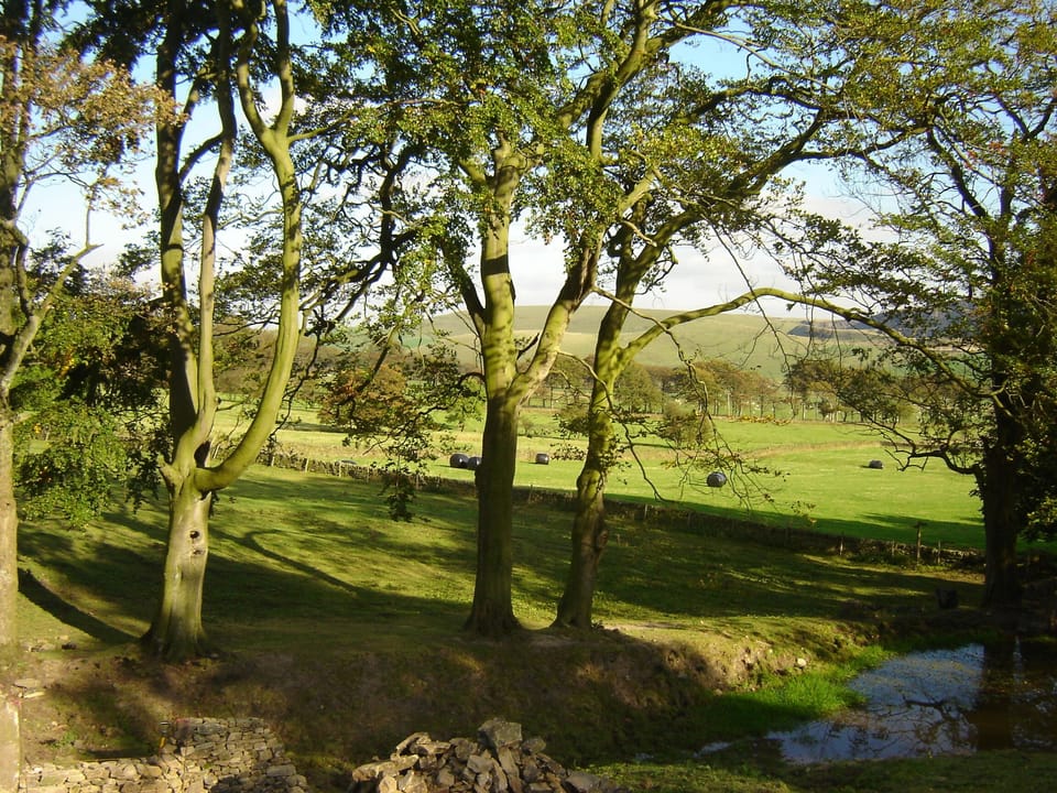 Cottage, Ensuite (Irishman's) | View from property