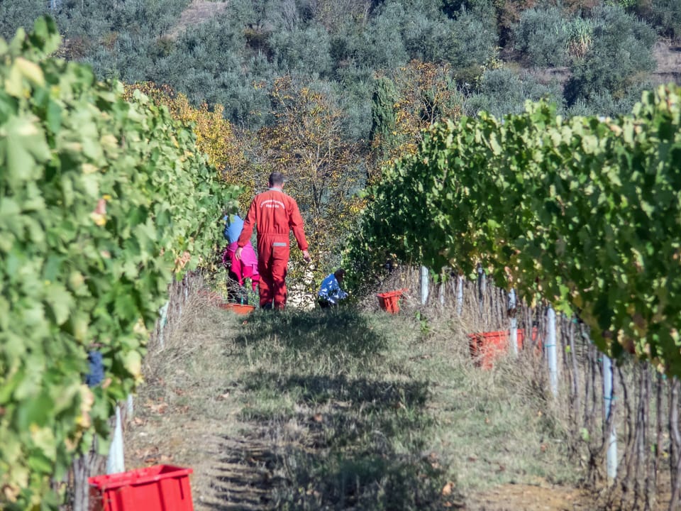 Winery
