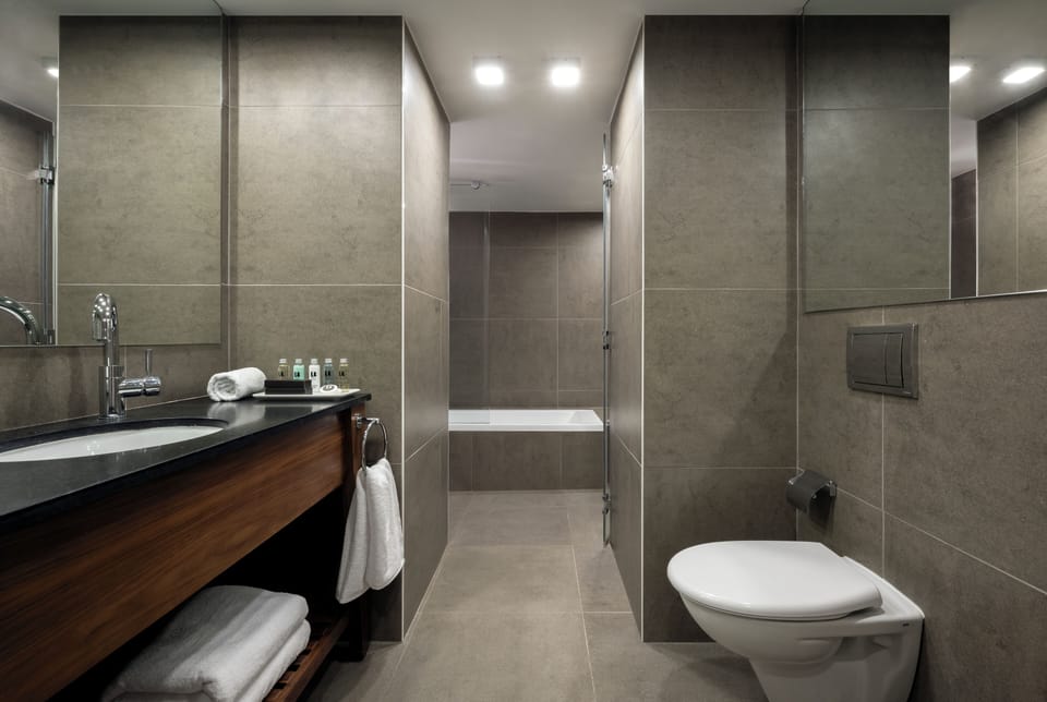 Royal Suite | Bathroom | Hair dryer, towels