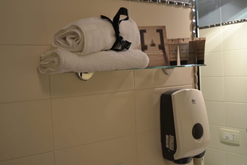 Shower, free toiletries, hair dryer, slippers