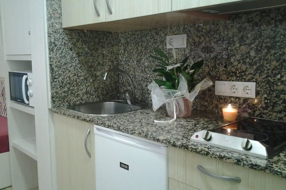 Apartment, 1 Bedroom | Private kitchen | Full-size fridge, microwave, stovetop, coffee/tea maker
