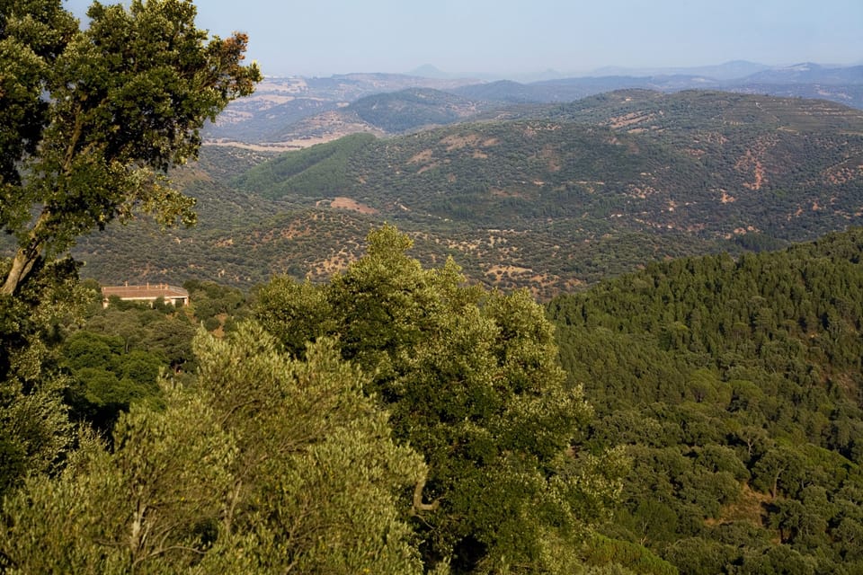 Mountain view