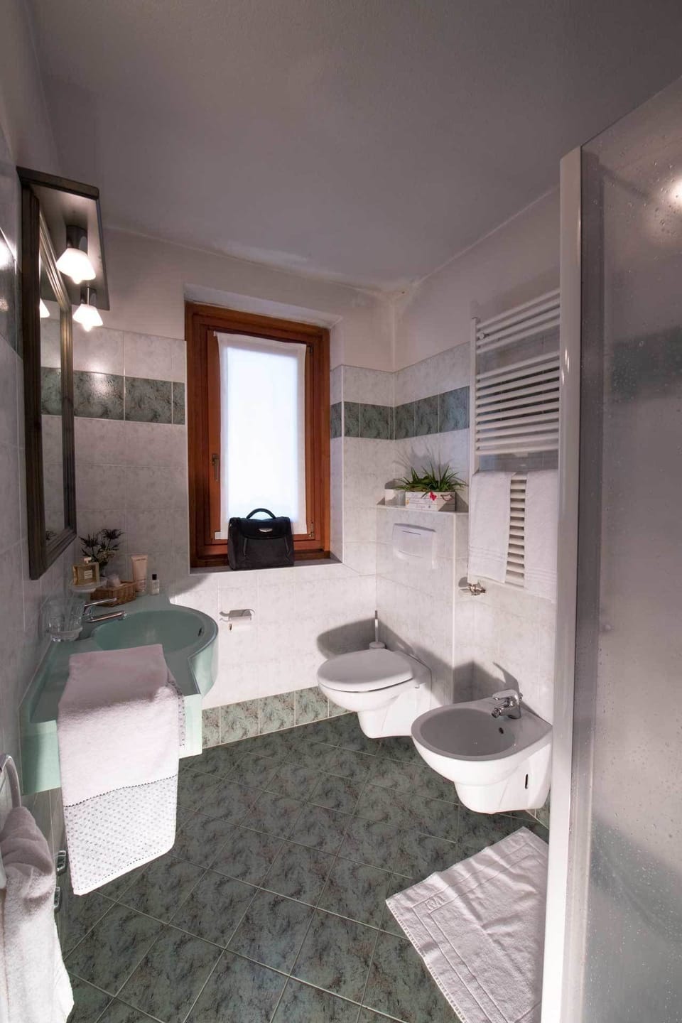 Shower, free toiletries, hair dryer, bidet