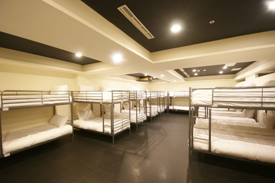 Hypo-allergenic bedding, down comforters, pillowtop beds, free WiFi