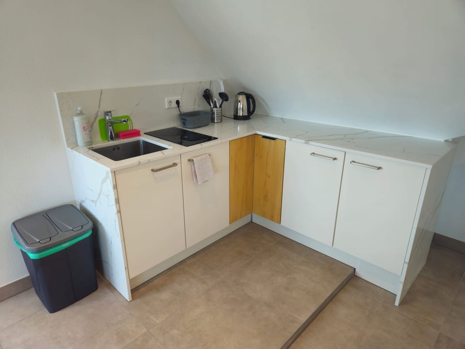 Deluxe Studio Suite, Multiple Beds, Kitchen | Private kitchen | Fridge, electric kettle