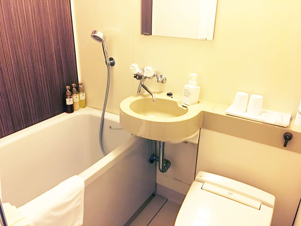Combined shower/tub, free toiletries, hair dryer, bathrobes