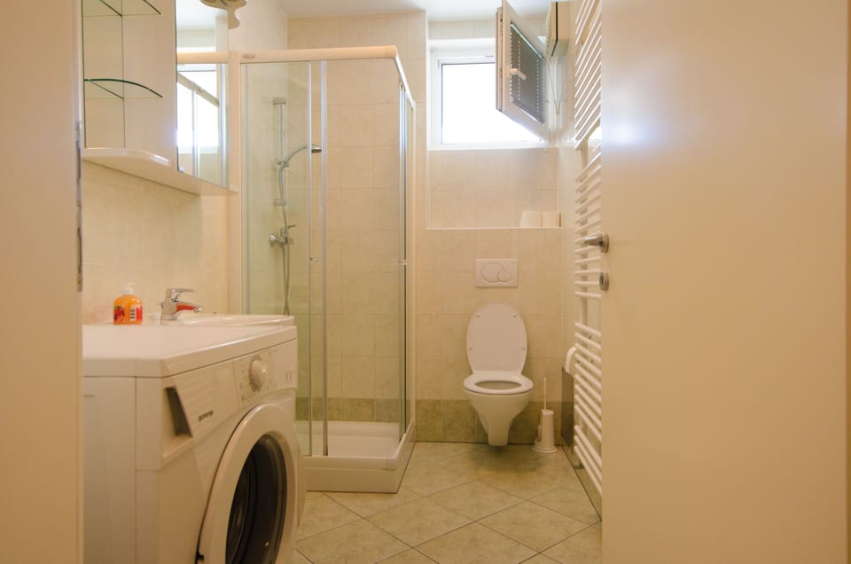 Apartment | Bathroom | Shower, towels, soap, toilet paper